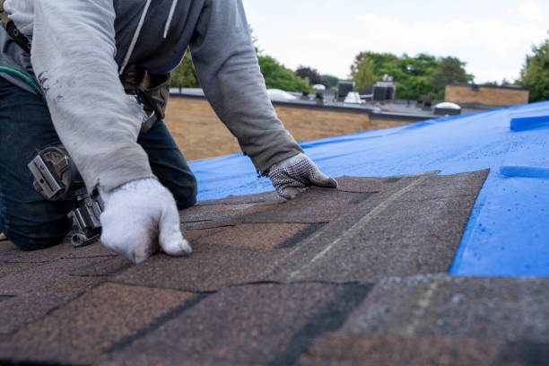 Best Emergency Roof Repair  in Mills River, NC