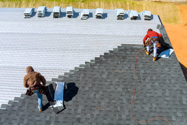 Best Metal Roofing Contractor  in Mills River, NC
